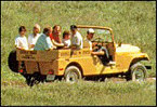Photo safari jeep